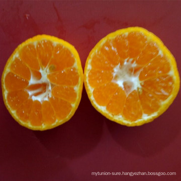 Carton Packing Yellow Sweet Baby Mandarin